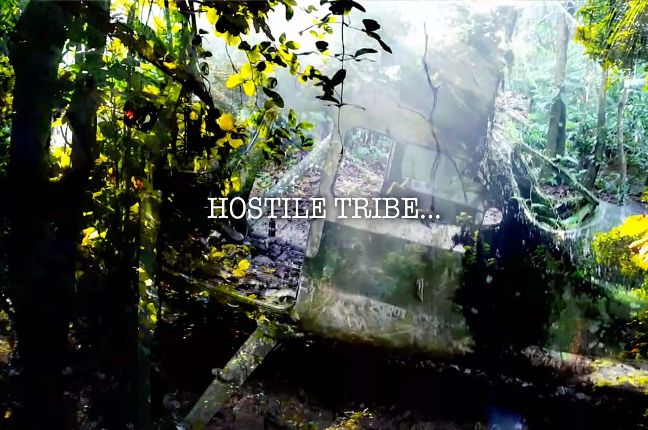Area 2: Amazon Jungle at Captive Experiences