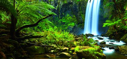 Journey to the Amazon