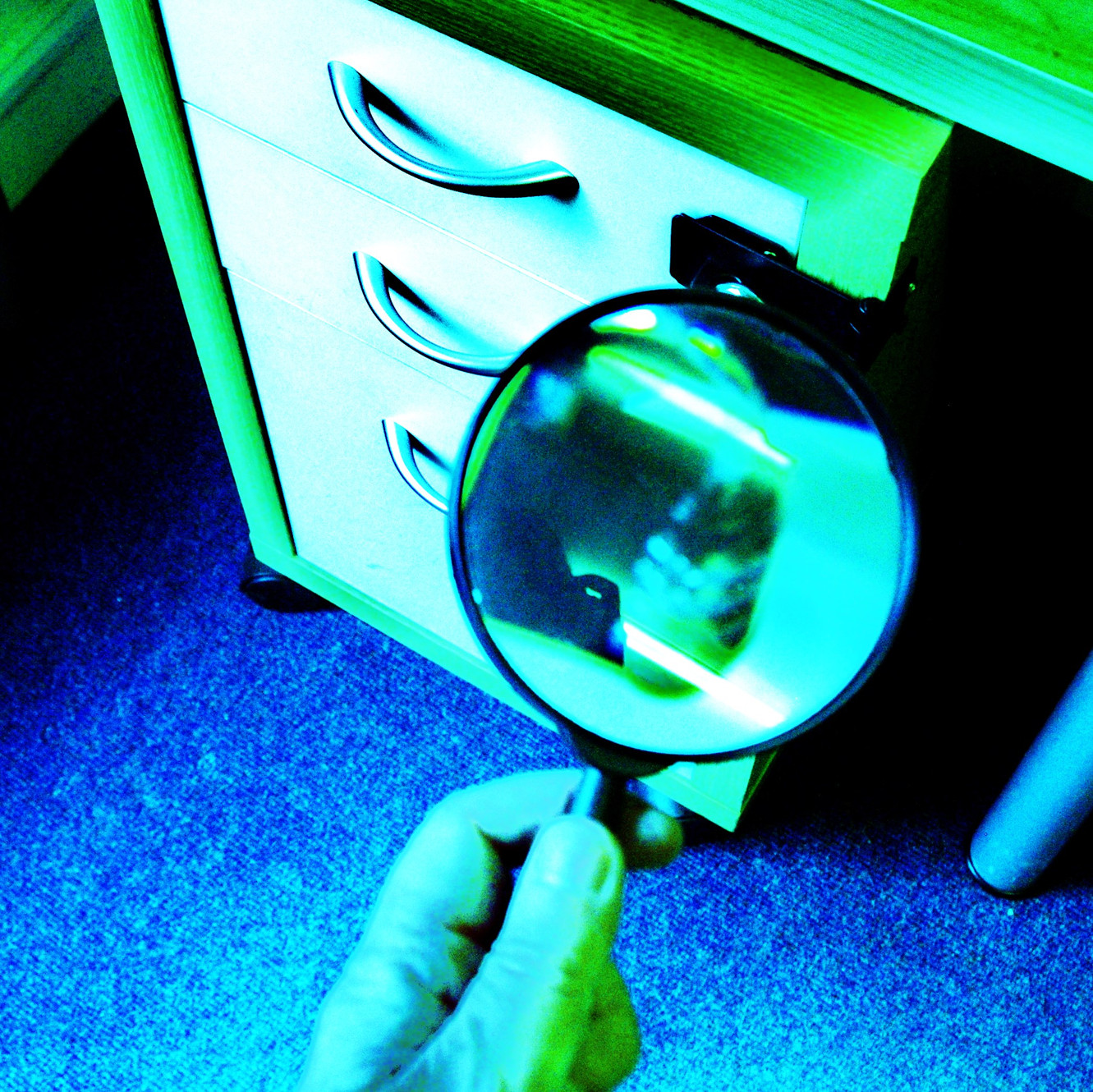 Lily Of Lumley | escaperoomsdurham