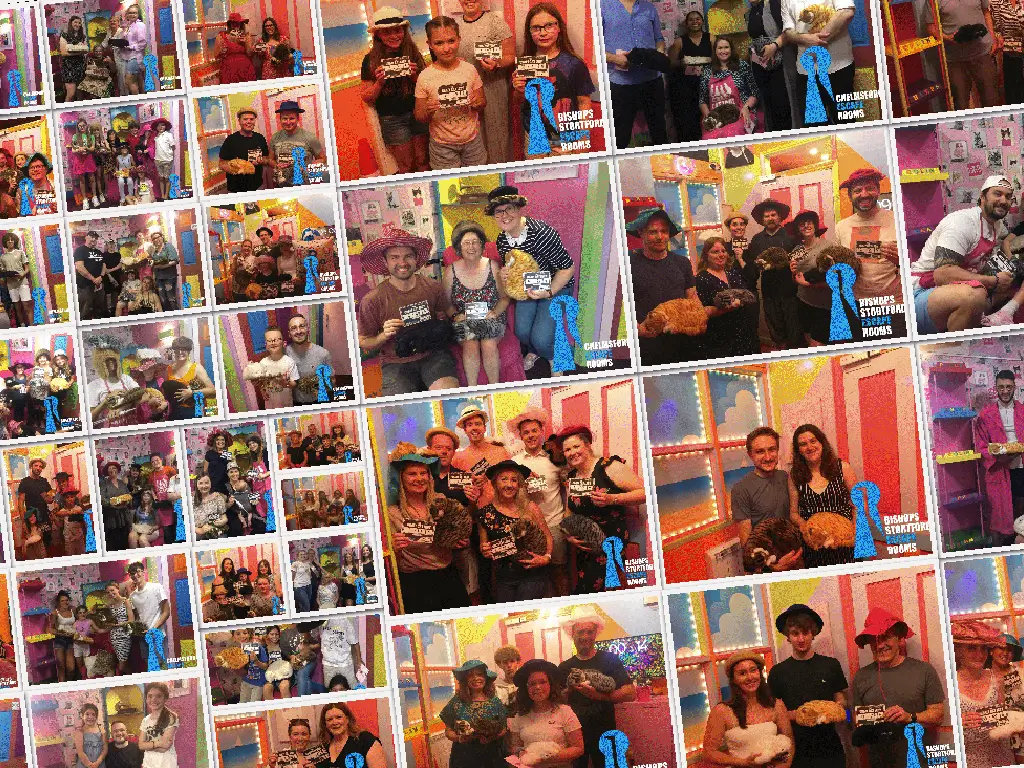 The Crazy Cat Lady at Gatwick Escape Rooms
